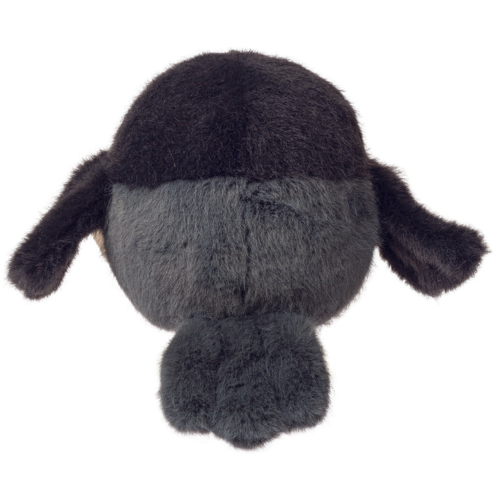 Bébés oiseaux - 4"