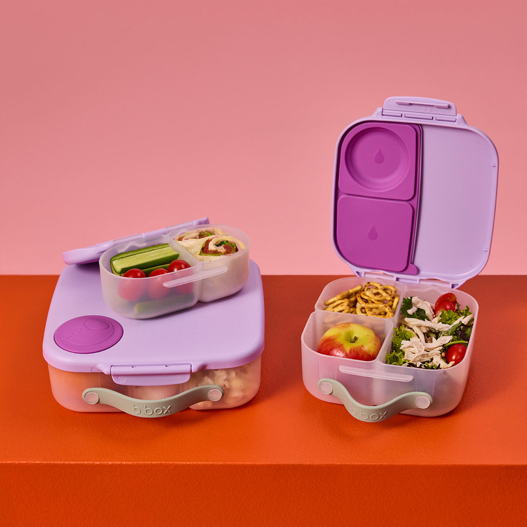 Mini Lunchbox