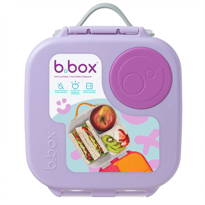 Mini Lunchbox