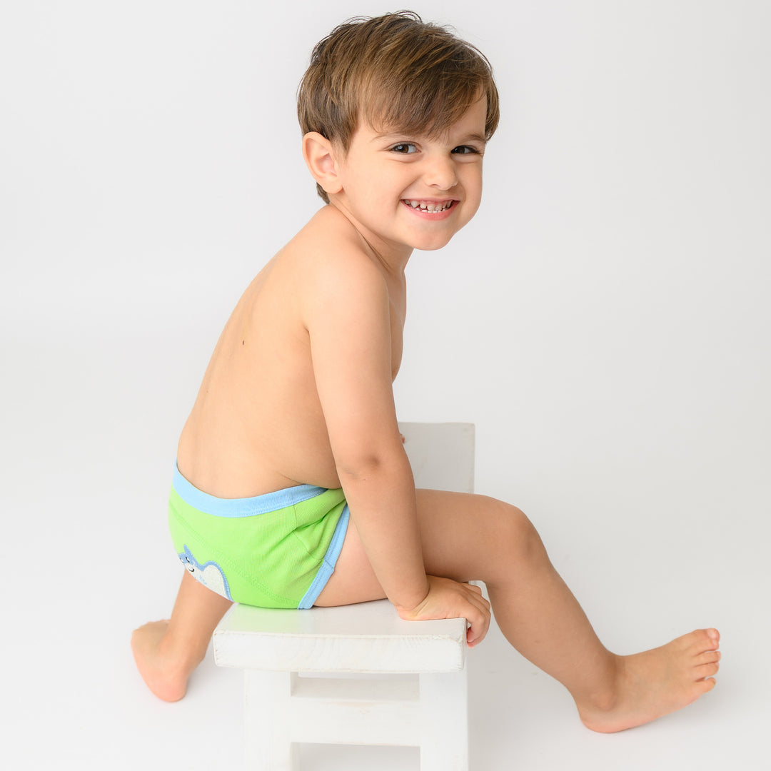 Organic Cotton 3 Piece Potty Training Pants