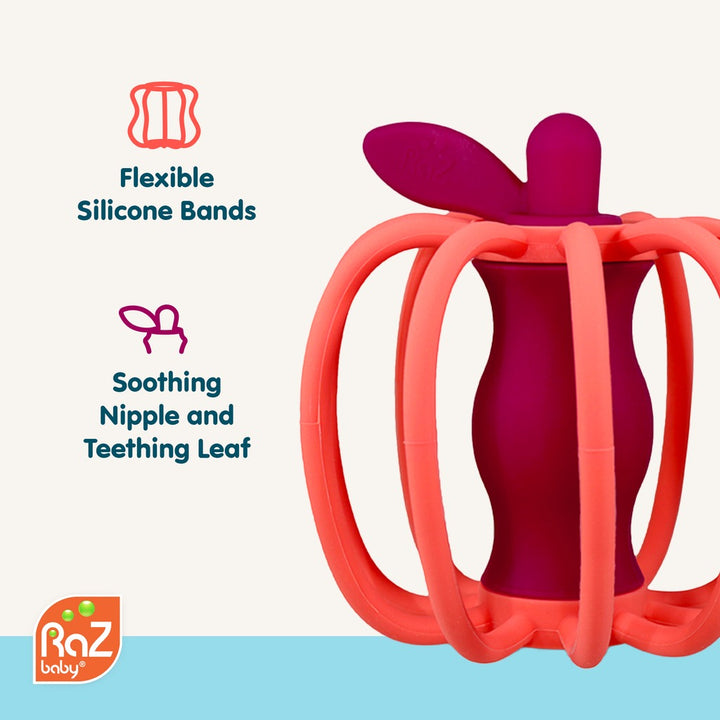 Teether & Rattle Toy