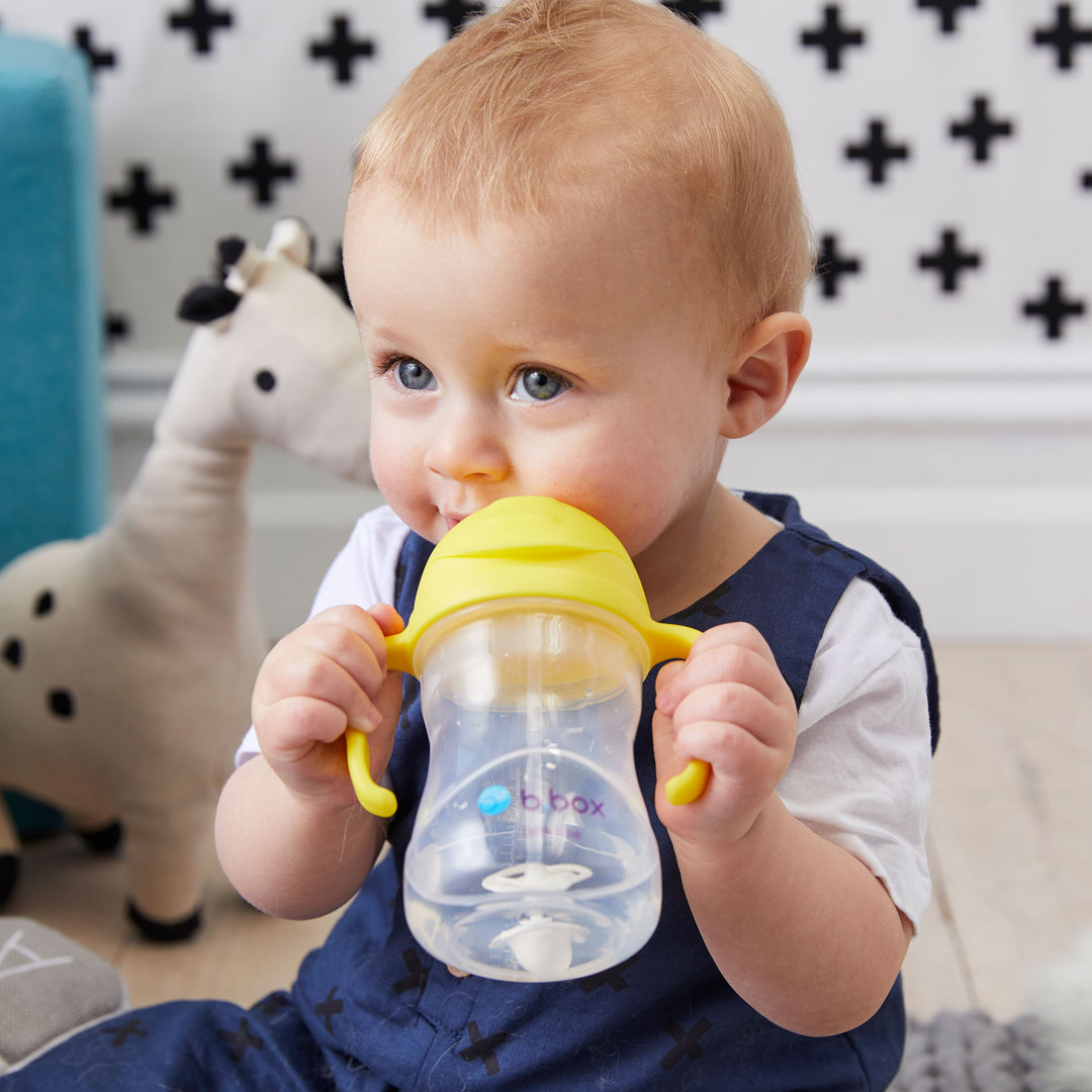 Sippy Straw Cup 240ml WM