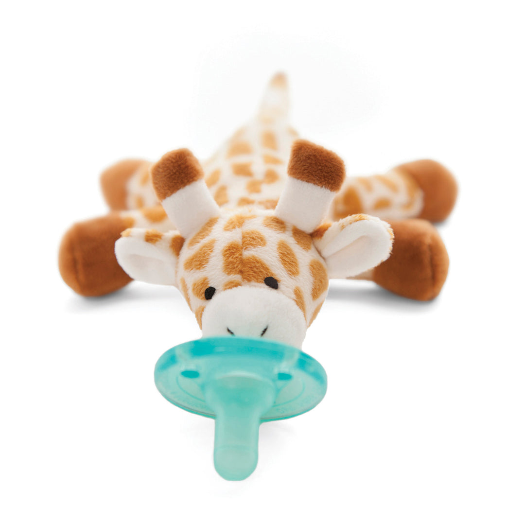 Infant Pacifier