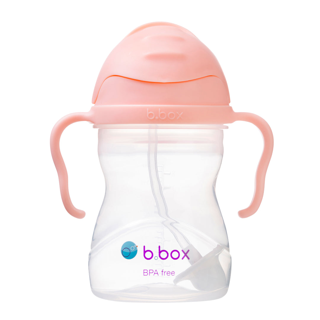 Sippy Straw Cup 240ml