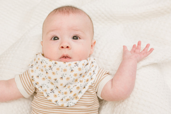 2pk Bandana Bibs