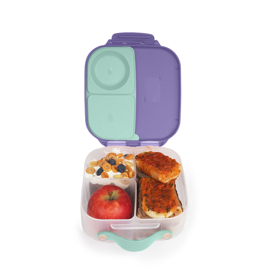 Mini Lunchbox