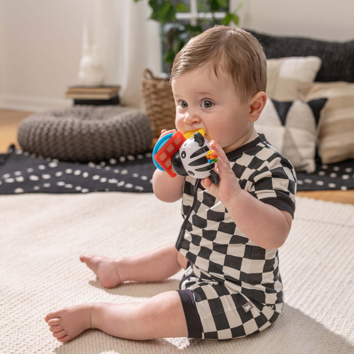 Shake-a-Shape Zen Teether Toy