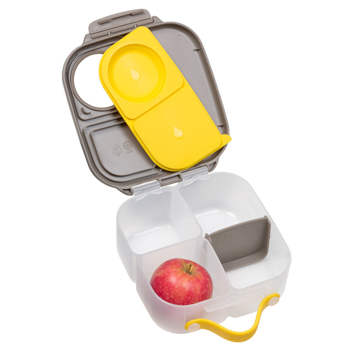 Mini Lunchbox