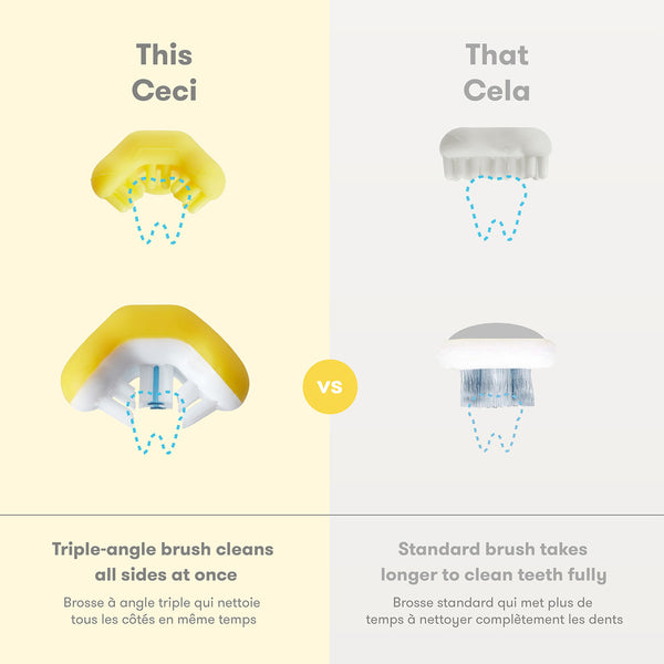 Brosse à dents d'apprentissage pour bébés