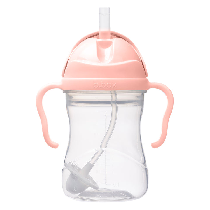 Sippy Straw Cup 240ml