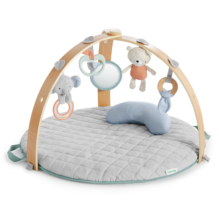 Ingenuity - Cozy Spot™ Reversible Duvet Gym Loamy™ Cozy Spot™ Reversible Duvet Gym Loamy™ 074451121263