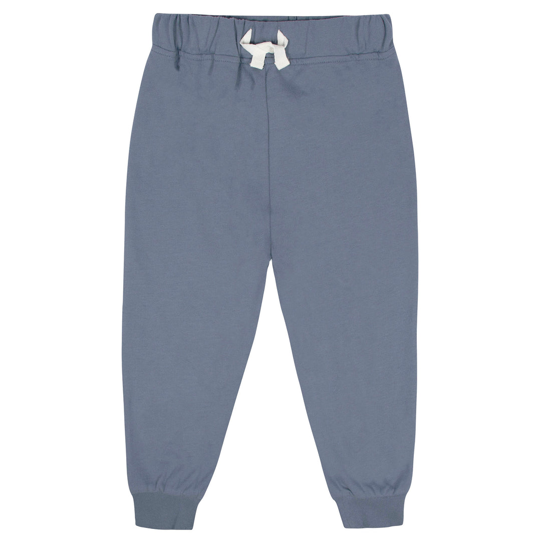 2-Piece Baby Boys Blue Pullover & Jogger Set