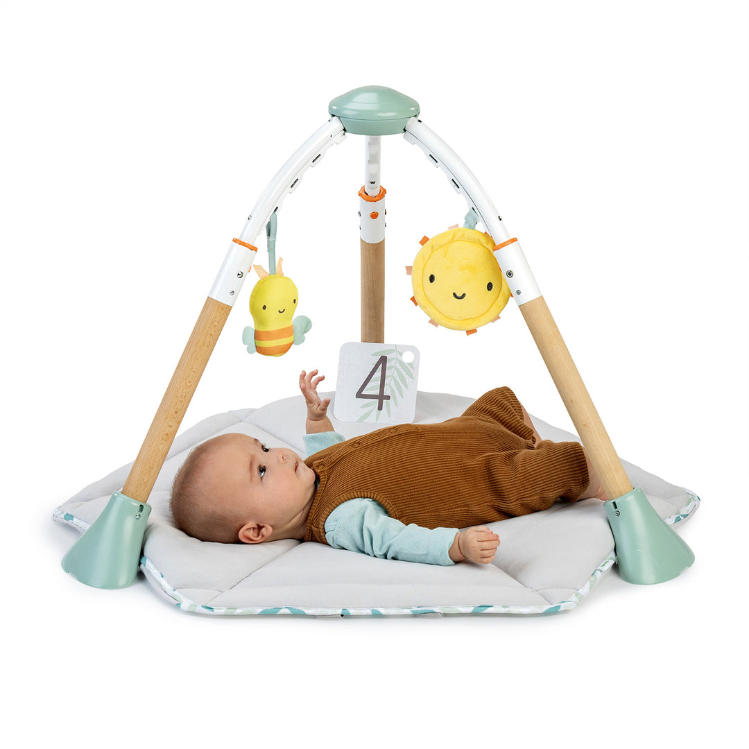 Tummy to Toes™ 6-in-1 Milestones Center