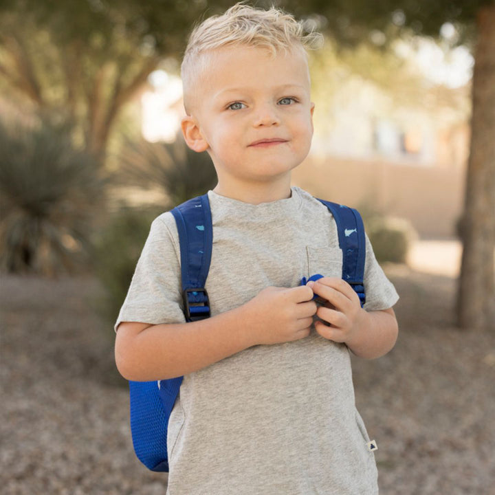 Toddler Foldup Backpack