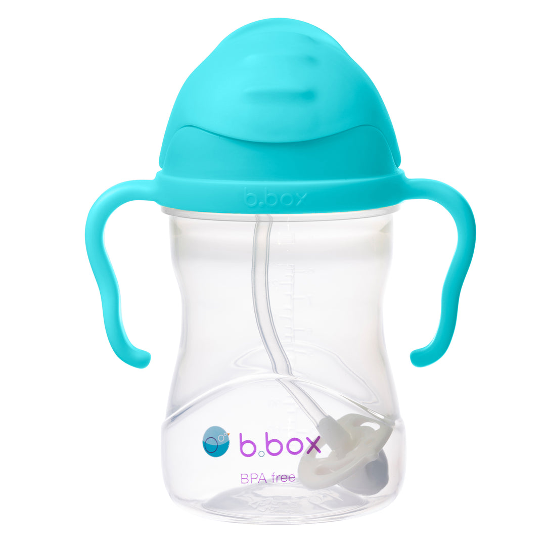 Sippy Straw Cup 240ml WM