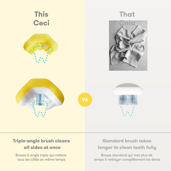 Ensemble de brosses à dents d'apprentissage Grow-With-Me