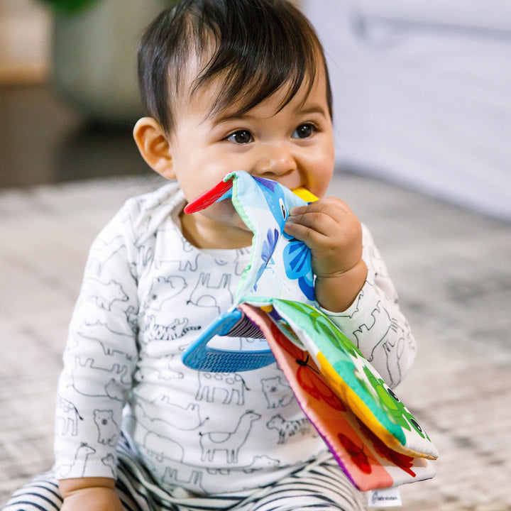 Curious Explorers Teether Book™