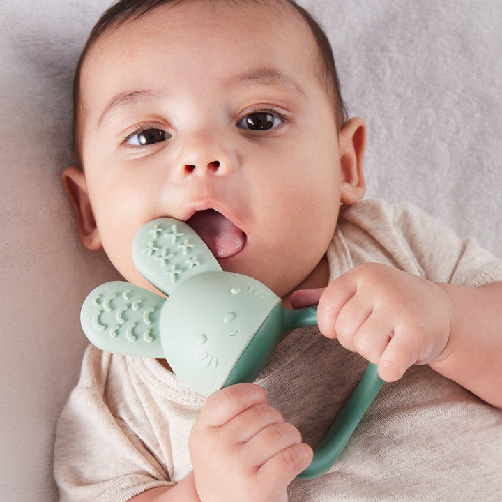 Chill + Fill Teether