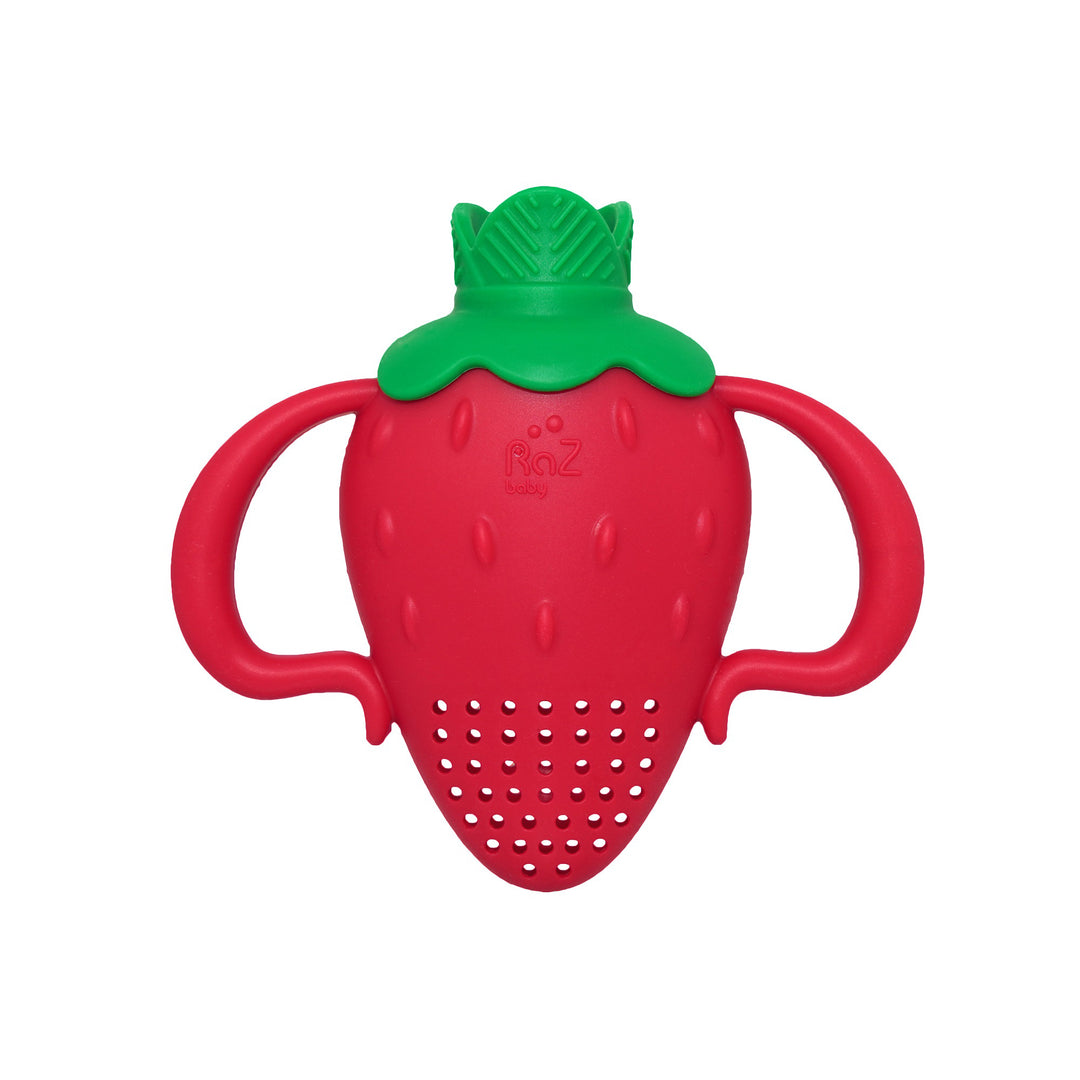 Fruitique Fruit Baby Feeder