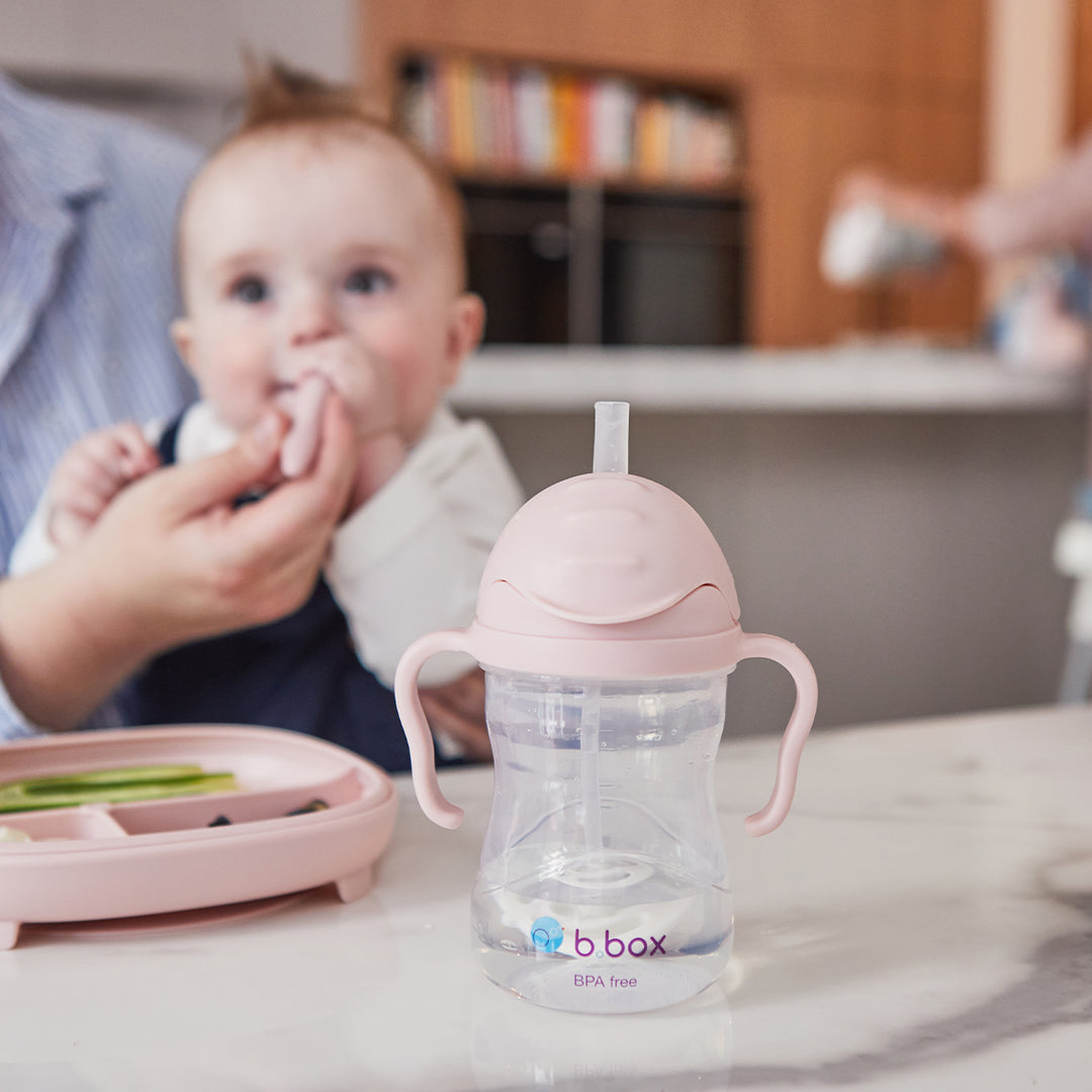 Sippy Straw Cup 240ml