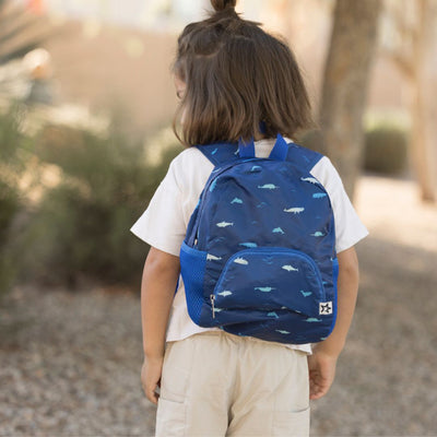 Toddler Foldup Backpack