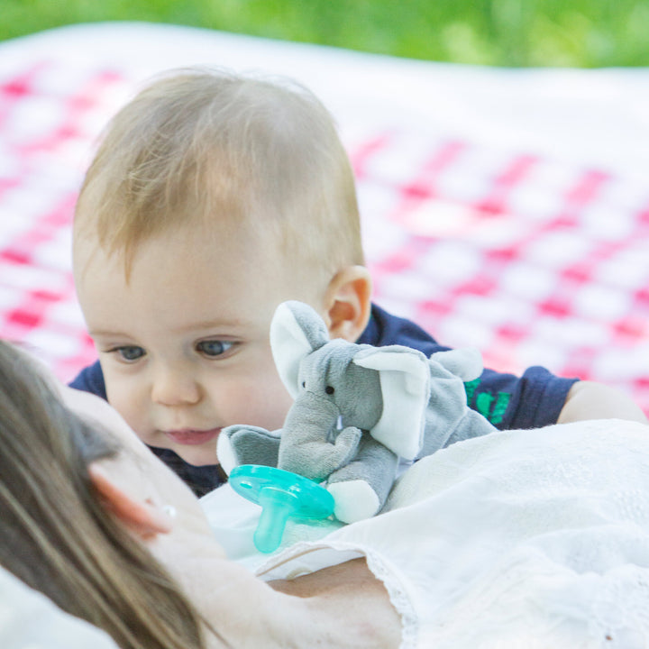 Infant Pacifier