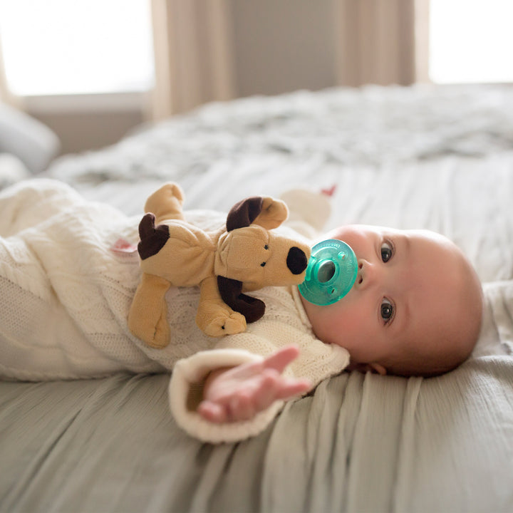 Infant Pacifier - Brown Puppy