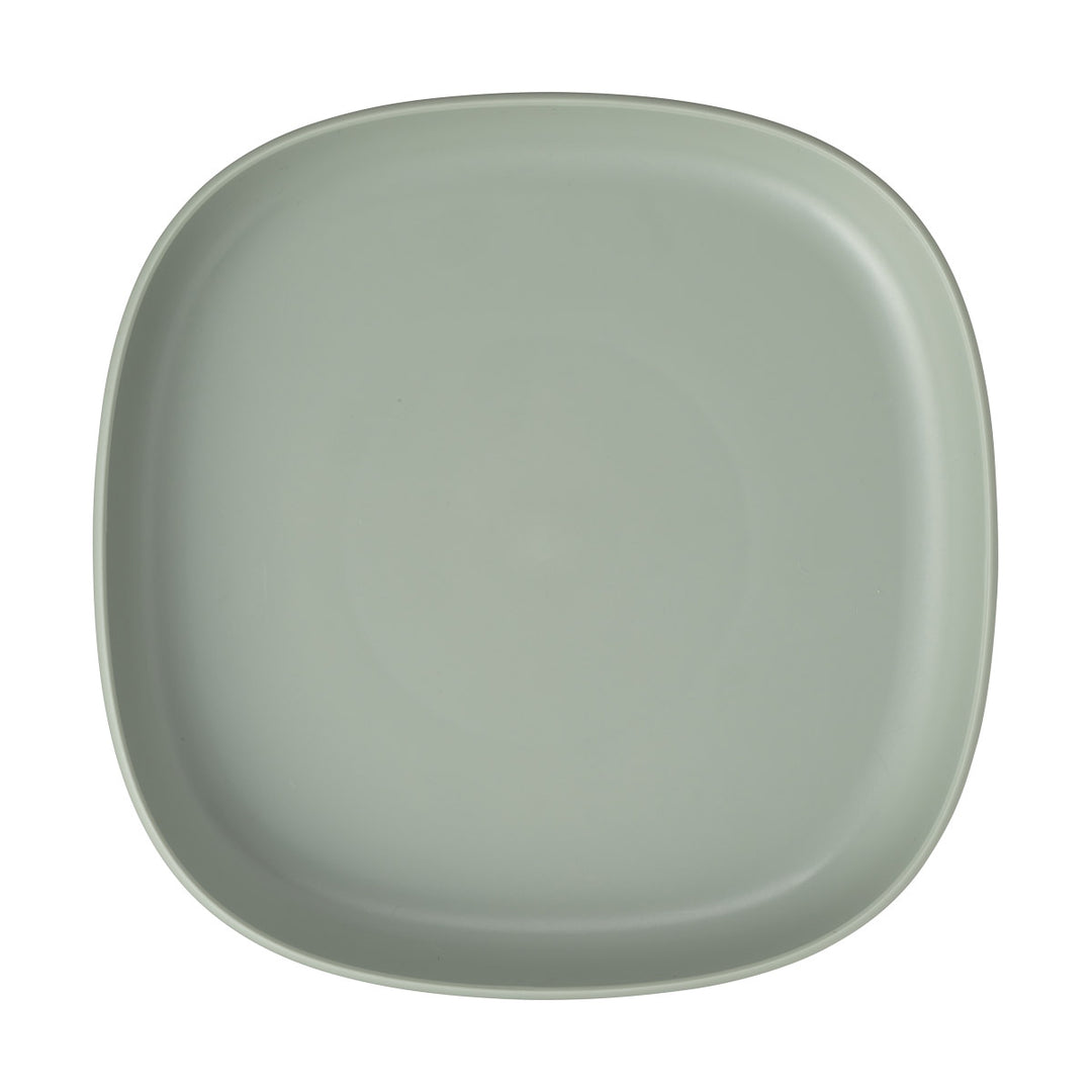 2 in 1 Suction Plate - Sage