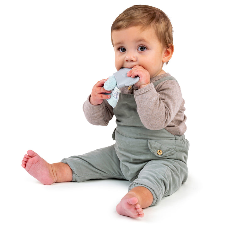 Van™ Teething Mitt & Rattle