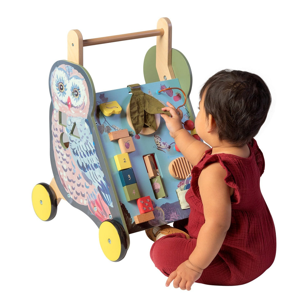 Wildwoods Owl Wooden Cart Shape Sorter