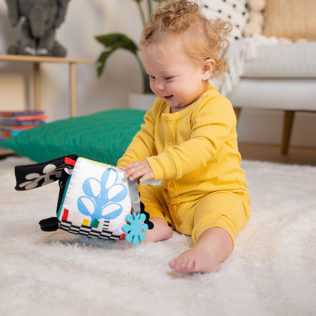 Wimmer - Discovery Cube