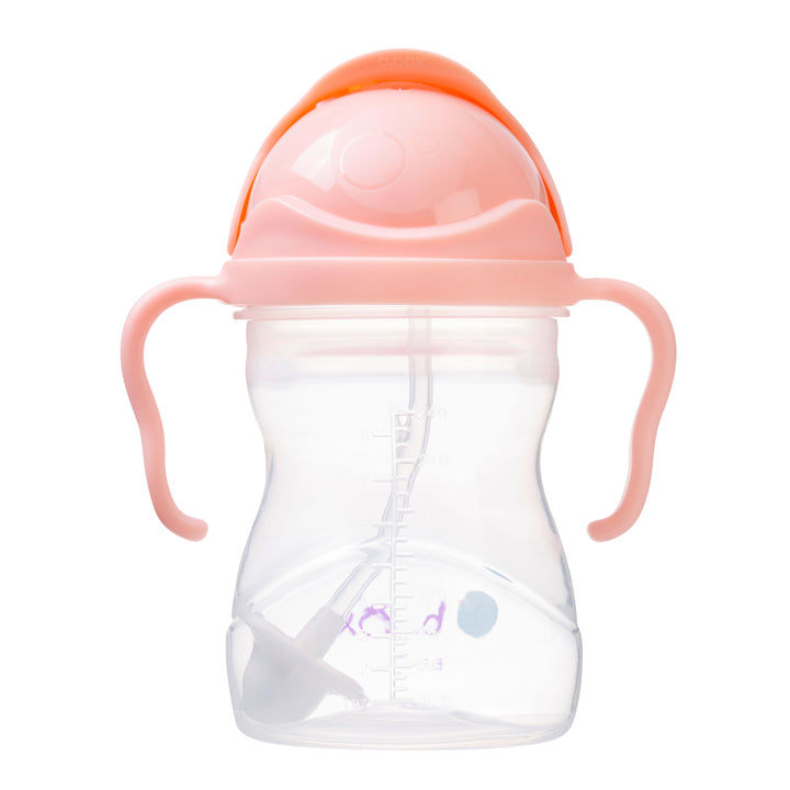 Sippy Straw Cup 240ml - Tutti Frutti