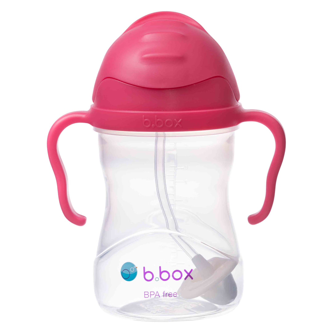 Sippy Straw Cup 240ml WM