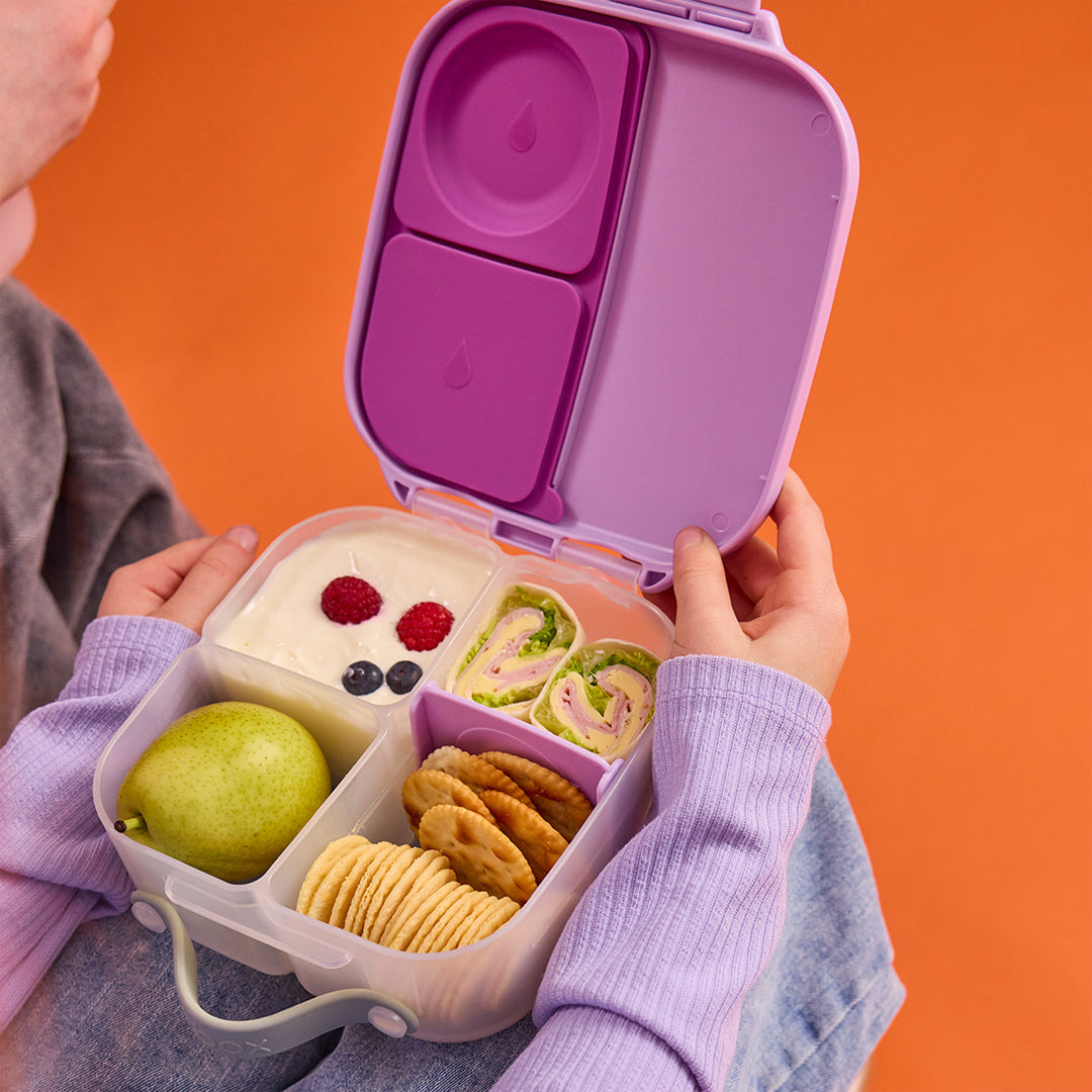 Mini Lunchbox