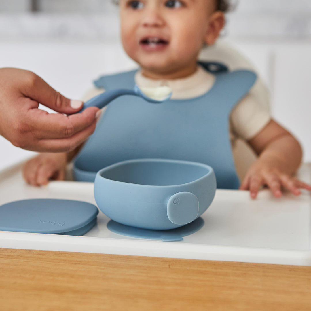 Silicone Bowl + Lid