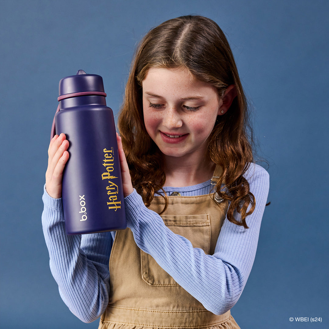 Bbox - Insulated Flip Top - 1L - Harry Potter