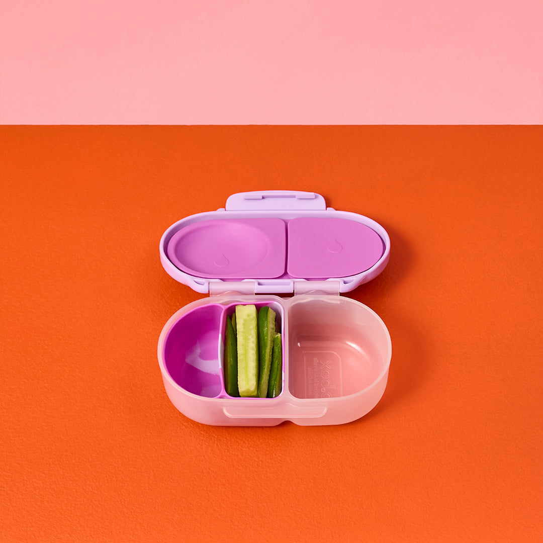 Silicone Bento Buddy - Snackbox