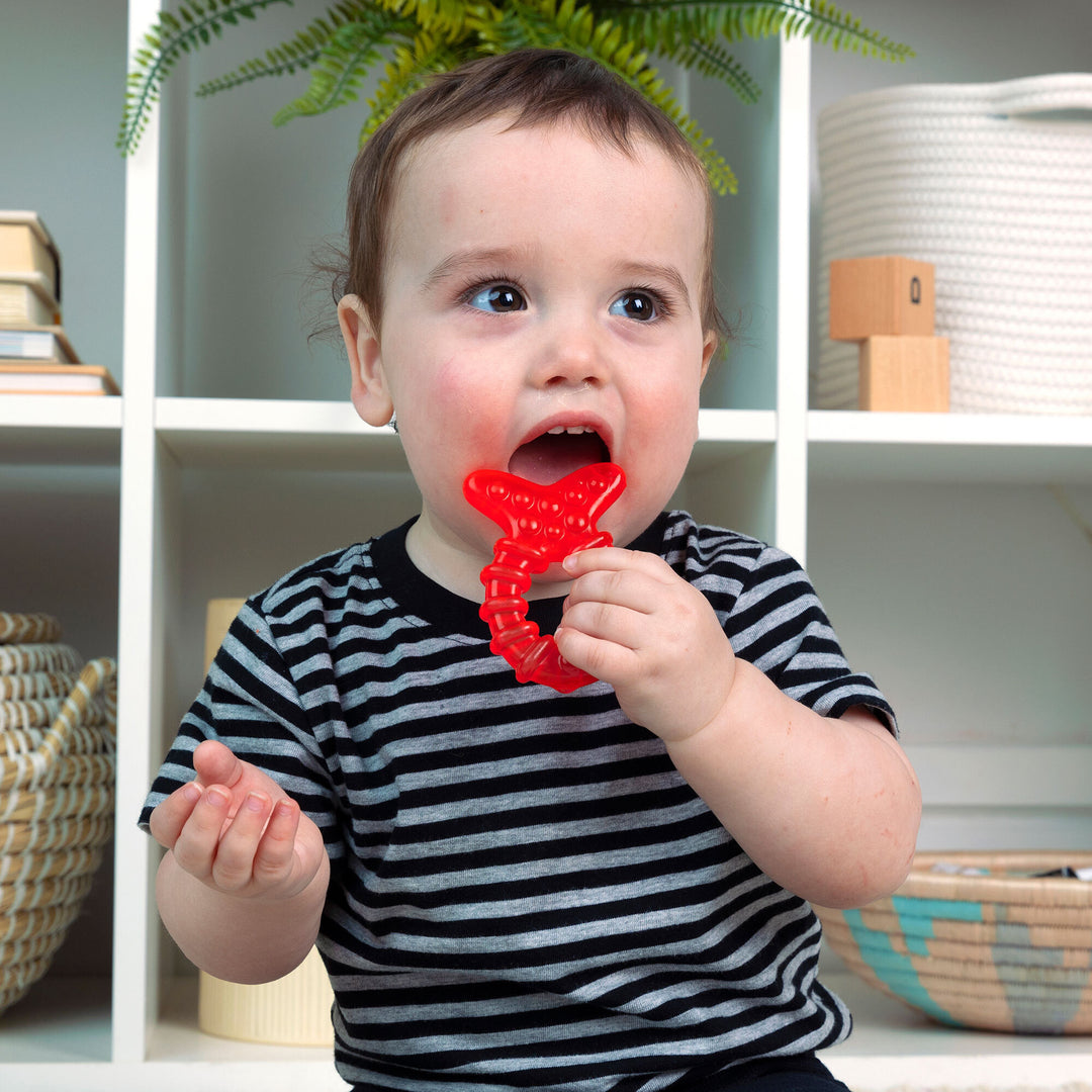 Cool Critters™ Teether Toy Set