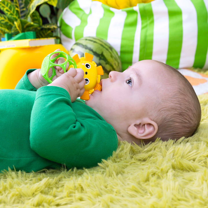 Soother Pals Easy-Grasp Teether Toys