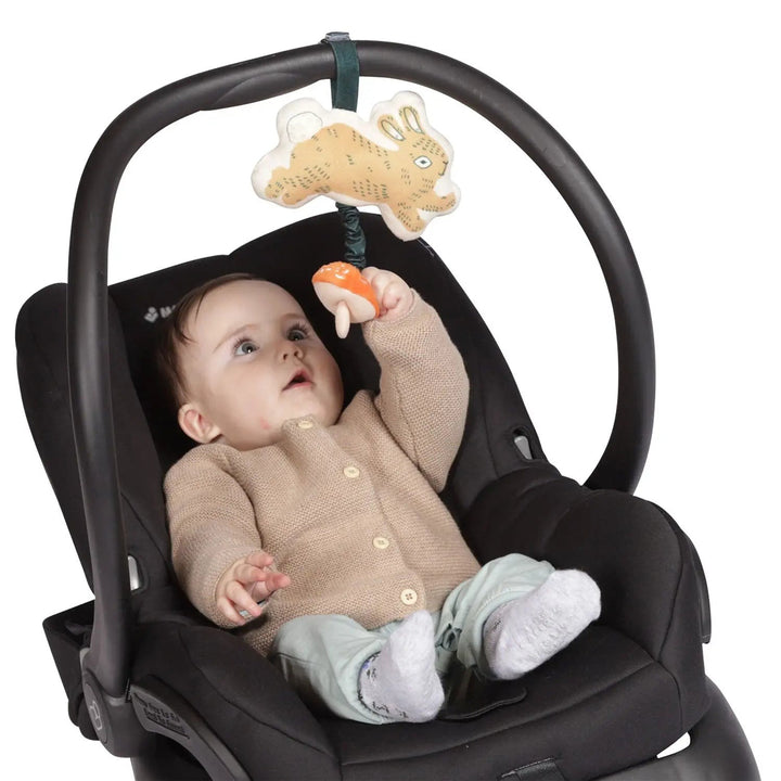 Button Bunny Pull Musical Toy