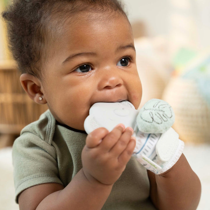 Van™ Teething Mitt & Rattle