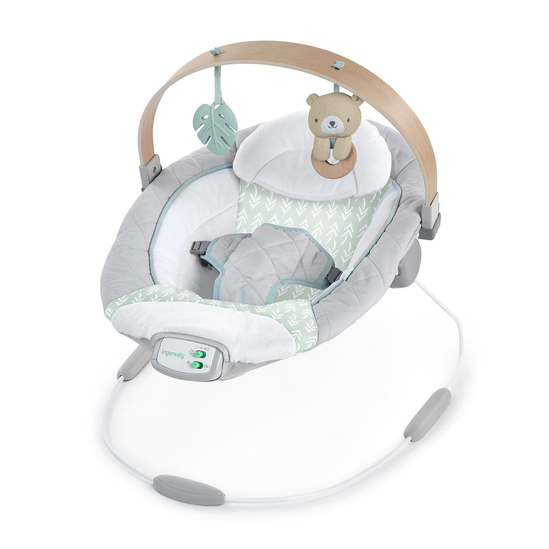 Cozy Spot™ Soothing Bouncer