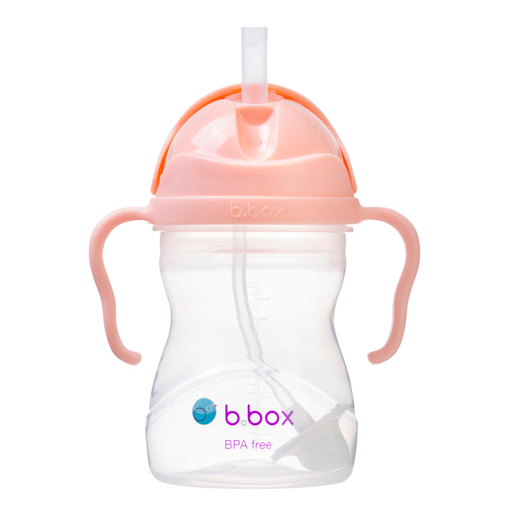 Sippy Straw Cup 240ml - Tutti Frutti