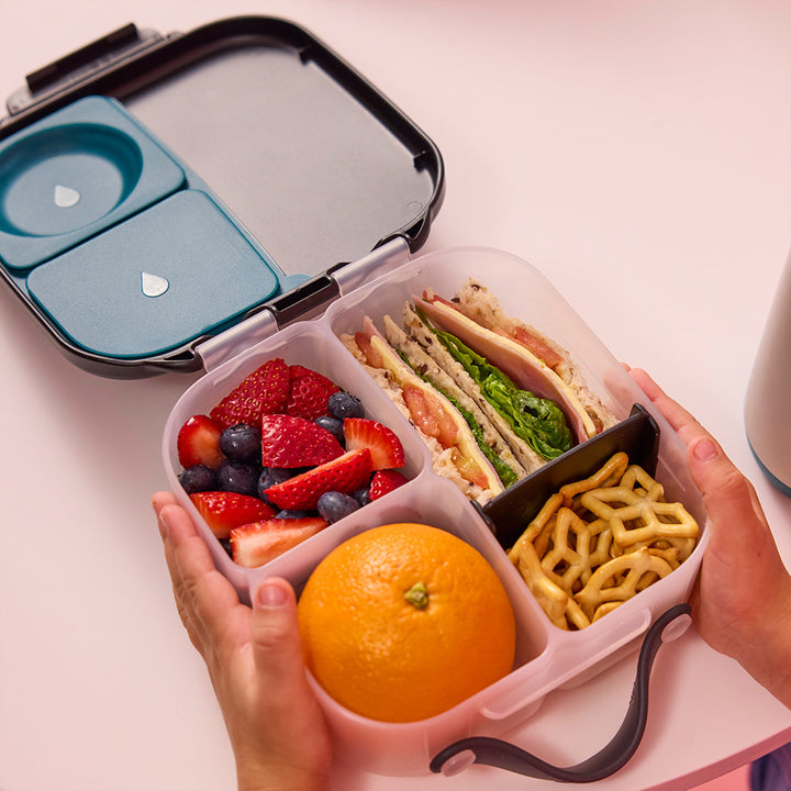 Mini Lunchbox