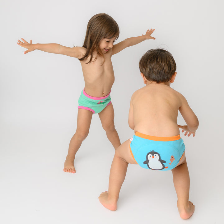 Organic Cotton 3 Piece Potty Training Pants