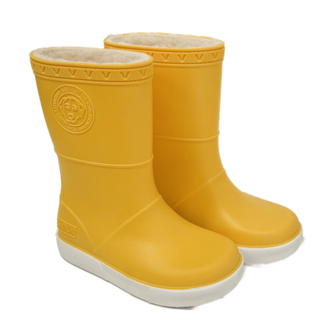 Seal Boot
