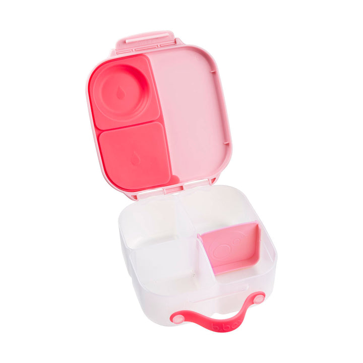 Mini Lunchbox