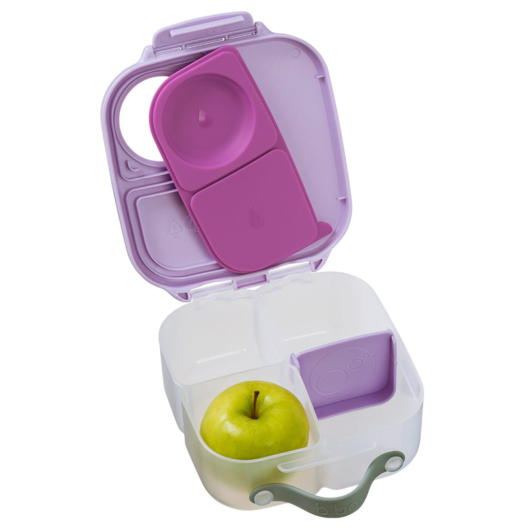 Mini Lunchbox