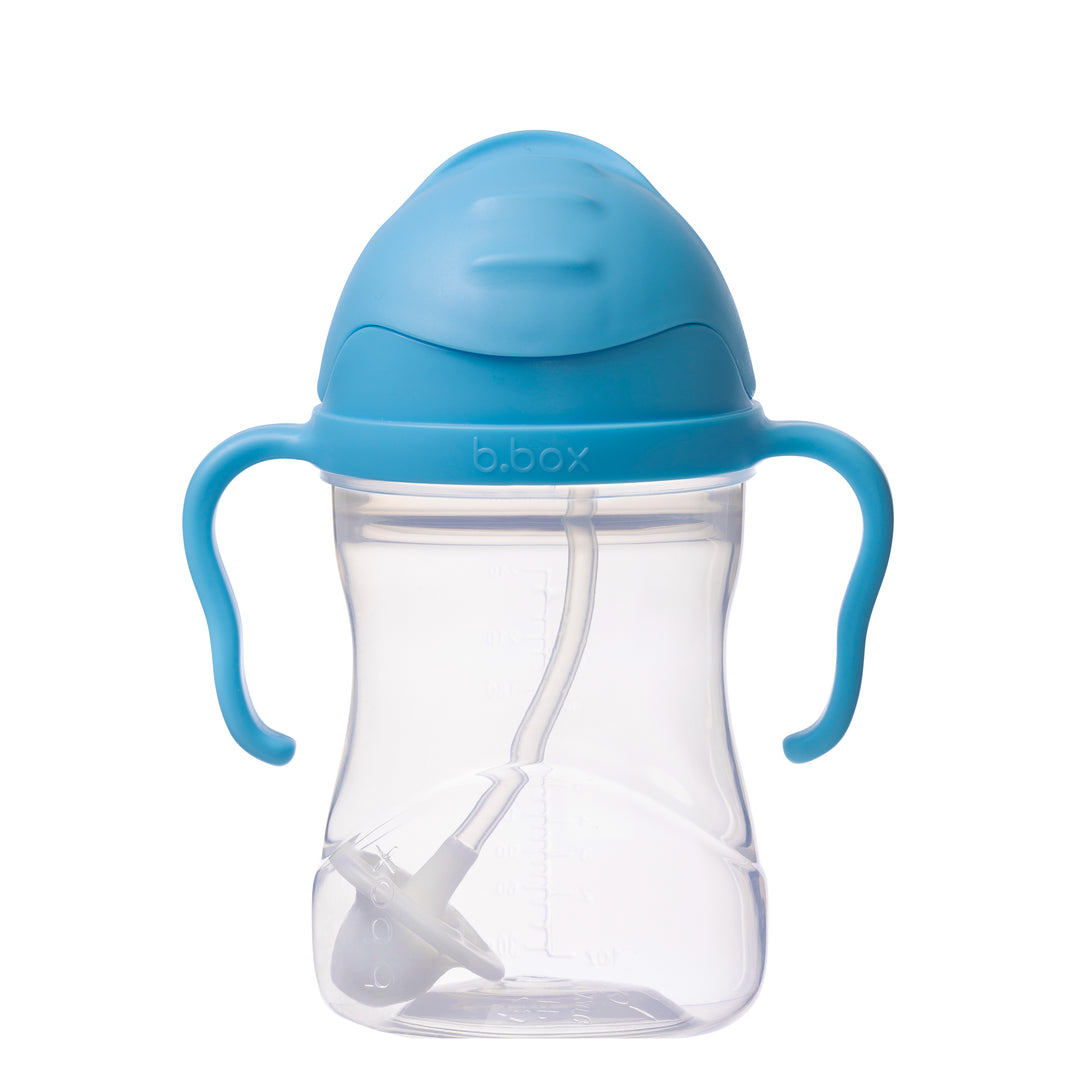 Sippy Straw Cup 240ml
