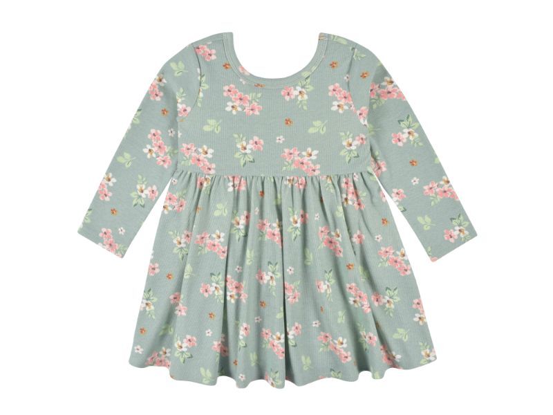 2-Pack Baby Girls Green Floral Long Sleeve Dresses